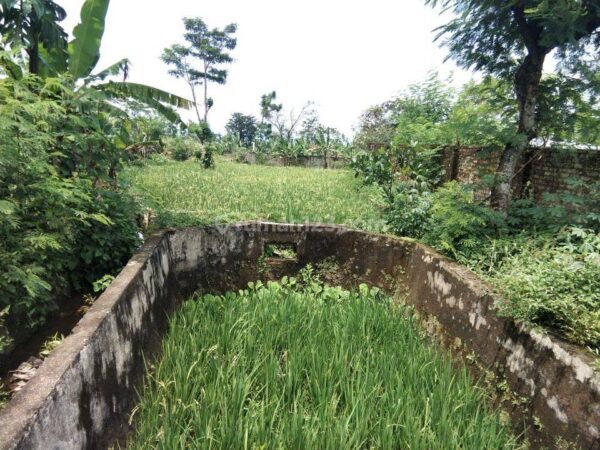 Tanah Subur View Gunung Cocok Untuk Villa Kebun Jalur Wisata Smart